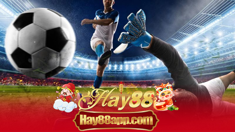 Luật Cá Cược Ném Biên Tại Hay88